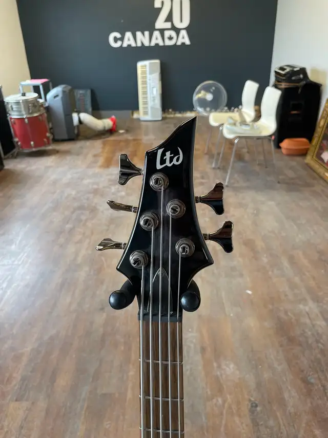 LTD B-55 Bass - Photo 3