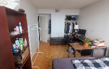 ROOMMATE WANTED MAY-1! Spacious Bedroom across Sheridan College! - Photo 3