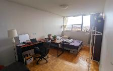 ROOMMATE WANTED MAY-1! Spacious Bedroom across Sheridan College! - Photo 4