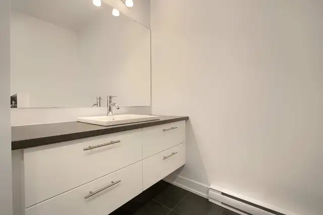 Magnificent Condo! 2 Bedrooms – Plateau Hull, Gatineau - Photo 3