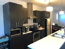 Magnificent Condo! 2 Bedrooms – Plateau Hull, Gatineau - Photo 4