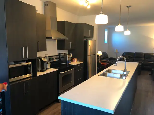 Magnificent Condo! 2 Bedrooms – Plateau Hull, Gatineau - Photo 5