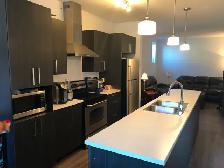 Magnificent Condo! 2 Bedrooms – Plateau Hull, Gatineau - Photo 5