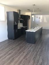 Magnificent Condo! 2 Bedrooms – Plateau Hull, Gatineau - Photo 8