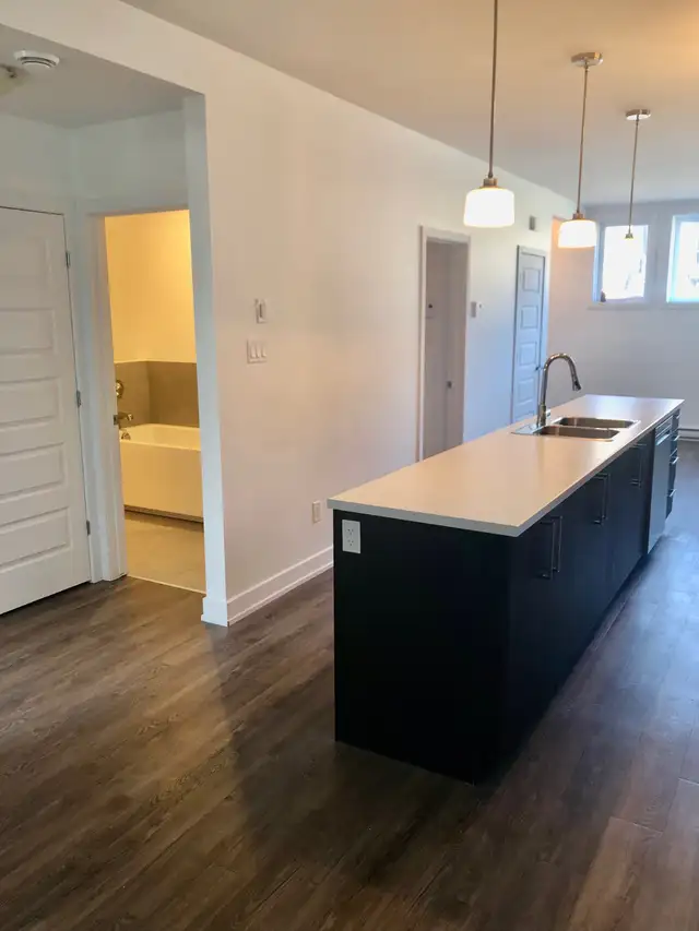 Magnificent Condo! 2 Bedrooms – Plateau Hull, Gatineau - Photo 9