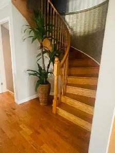 Home 4 Rent - Photo 2