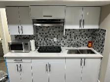 Fully Furnished/unfurnished 1 Bed 1 Bath Basement in Windermere - Photo 4