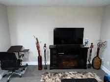 Fully Furnished/unfurnished 1 Bed 1 Bath Basement in Windermere - Photo 6