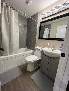 Fully Furnished/unfurnished 1 Bed 1 Bath Basement in Windermere - Photo 7