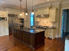 COOK TOP with HOOD Appliance