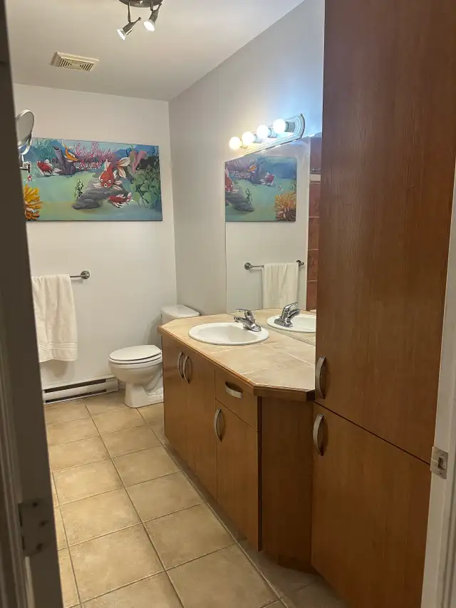 Beau grand 4 1/2 Beauport, Boul. Raymond - Photo 15