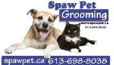 Dog and cat grooming near me - Photo 5