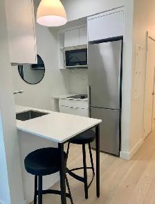 FURNISHED GRIFFINTOWN STUDIO - APRIL RENT FREE - Photo 2