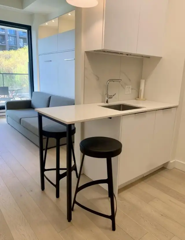 FURNISHED GRIFFINTOWN STUDIO - APRIL RENT FREE - Photo 13
