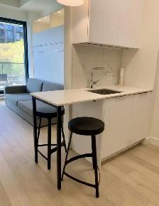 FURNISHED GRIFFINTOWN STUDIO - APRIL RENT FREE - Photo 13