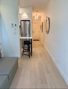 FURNISHED GRIFFINTOWN STUDIO - APRIL RENT FREE - Photo 14