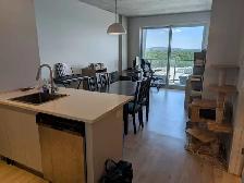 APPARTEMENT A LOUER - MOITIE PRIX AVRIL 825$ - CESSATION DE BAIL - Photo 2