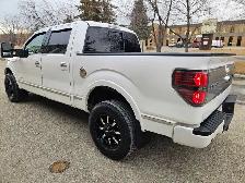 2011 Ford F-150 Platinum 3.5L V6 EcoBoost - Photo 4