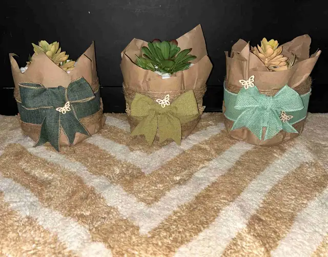 Baby shower succulents