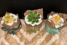 Baby shower succulents - Photo 2