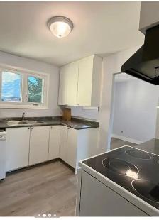 3 BEDROOMS  HOUSE/MAISON 3 CHAMBRES - Photo 5