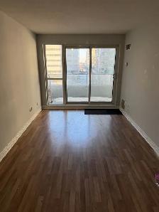 1 bed/1 bath condo - step away from STC (video attached) - Photo 4