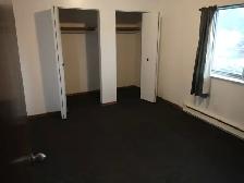 Large 1 Bedroom Apt. Downtown. All incl. utils. $1250 - Photo 4