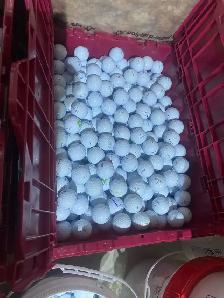 5000 ProV1 AAA MINT AVAIL