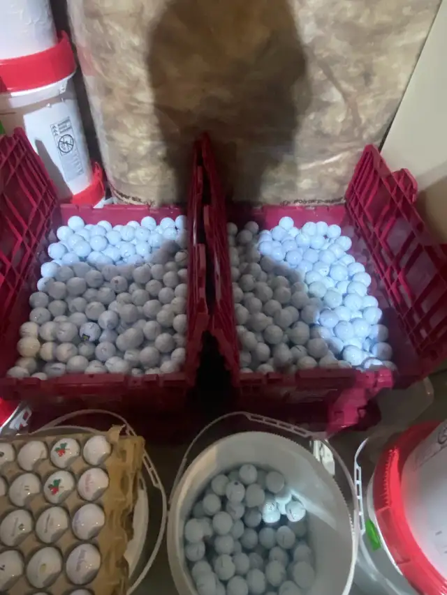 5000 ProV1 AAA MINT AVAIL - Photo 2