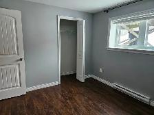 2‑Bedroom Basement Apartment Available Now - Photo 9