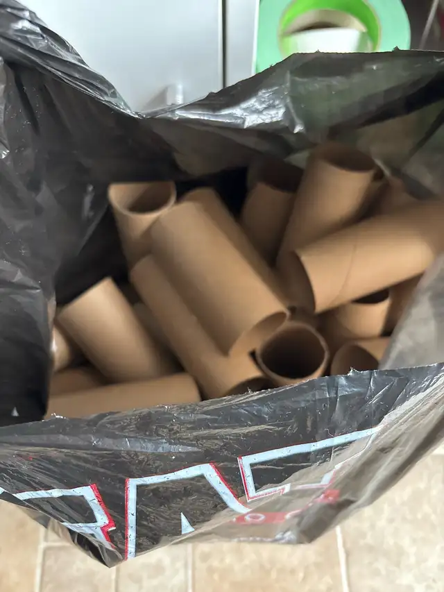 FREE! cardboard toilet paper rolls