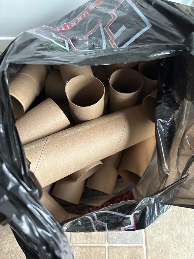 FREE! cardboard toilet paper rolls - Photo 2