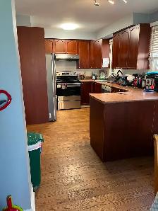 DON Mills &STEELS furnished basement private washroom - Photo 3