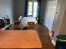 DON Mills &STEELS furnished basement private washroom - Photo 4