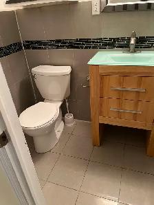 DON Mills &STEELS furnished basement private washroom - Photo 5