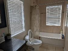 Fully furnishedroom with attached washroom in downtown Brampton - Photo 2