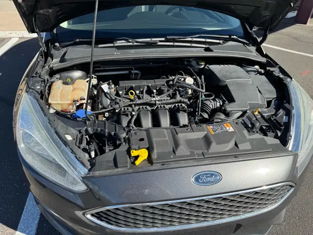 Ford Focus - Photo 7