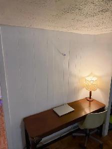 High Park Basement 1 Bedroom Apartment - Photo 6