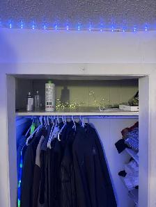 High Park Basement 1 Bedroom Apartment - Photo 7