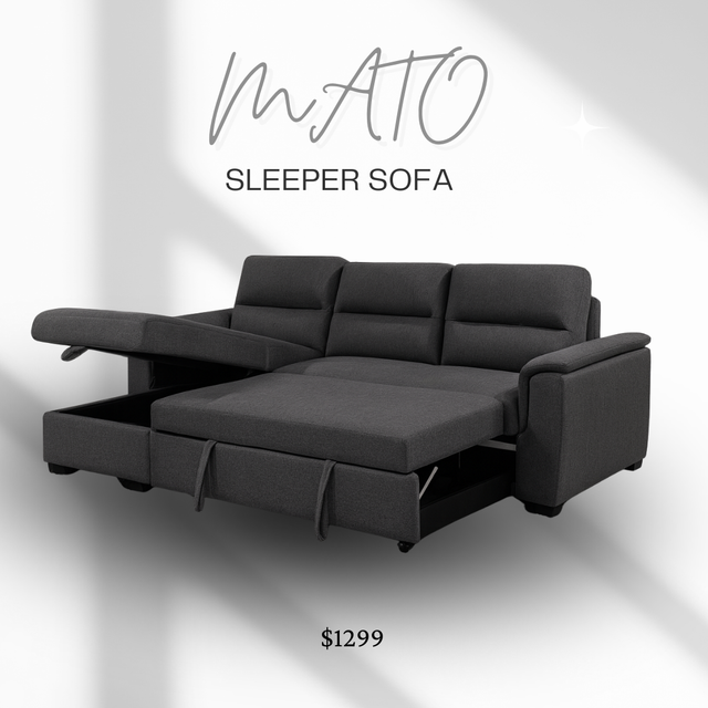 Sleeper Sofa – Affordable & Brand New