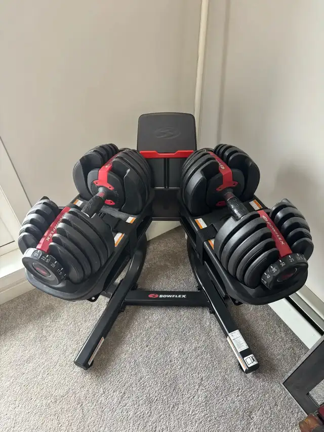 Bowflex 552, stand and adjustable bench