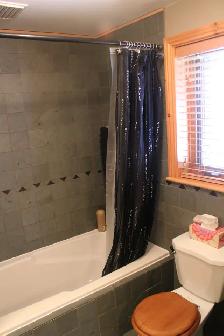 Appartement 3 ½, MEUBLÉ, TOUT INCLUS, Plateau Mont-Royal - Photo 10