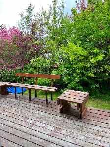 5 min Walk to Whitehorn Ctrain/ Near Sunridge Mall & Airport - Photo 4