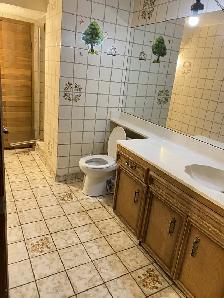 5 min Walk to Whitehorn Ctrain/ Near Sunridge Mall & Airport - Photo 8