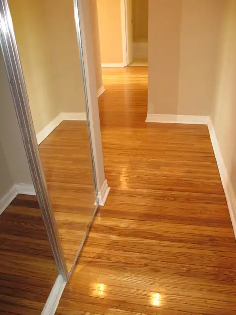 3 Bedroom Apartment, ONE months free rent, Available June 1 - Photo 2
