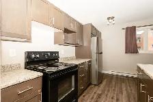 291 St. Anne's Road - Two-Bedroom Suite Apartment for Rent - Photo 4