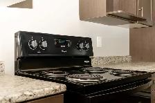 291 St. Anne's Road - Two-Bedroom Suite Apartment for Rent - Photo 5