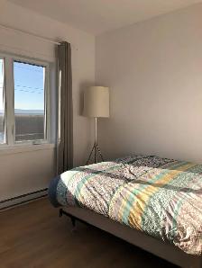 Superbe 5 1/2 adossé à un champ 5 mins des services St-Hyacinthe - Photo 7