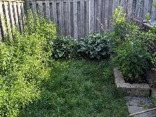 looking for a new career - Photo 6