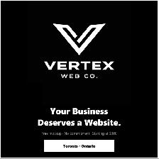 Professional Websites for Local Businesses